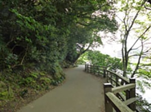 徳島公園（北側）