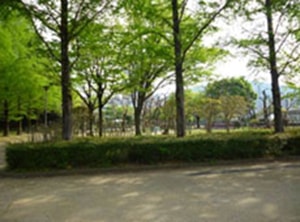 徳島公園（南側）