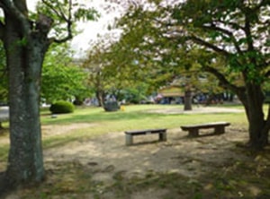 徳島公園（南側）